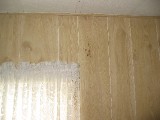 hurricanecharley 059 